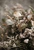 Wedding ring detail with the florals- Dolomites Elopement