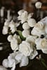 floral wedding detail- Queenstown Wedding
